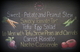 anna & kristina's grocery bag - tv show