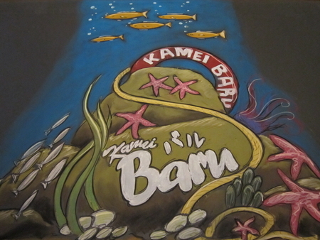 kamei baru 2